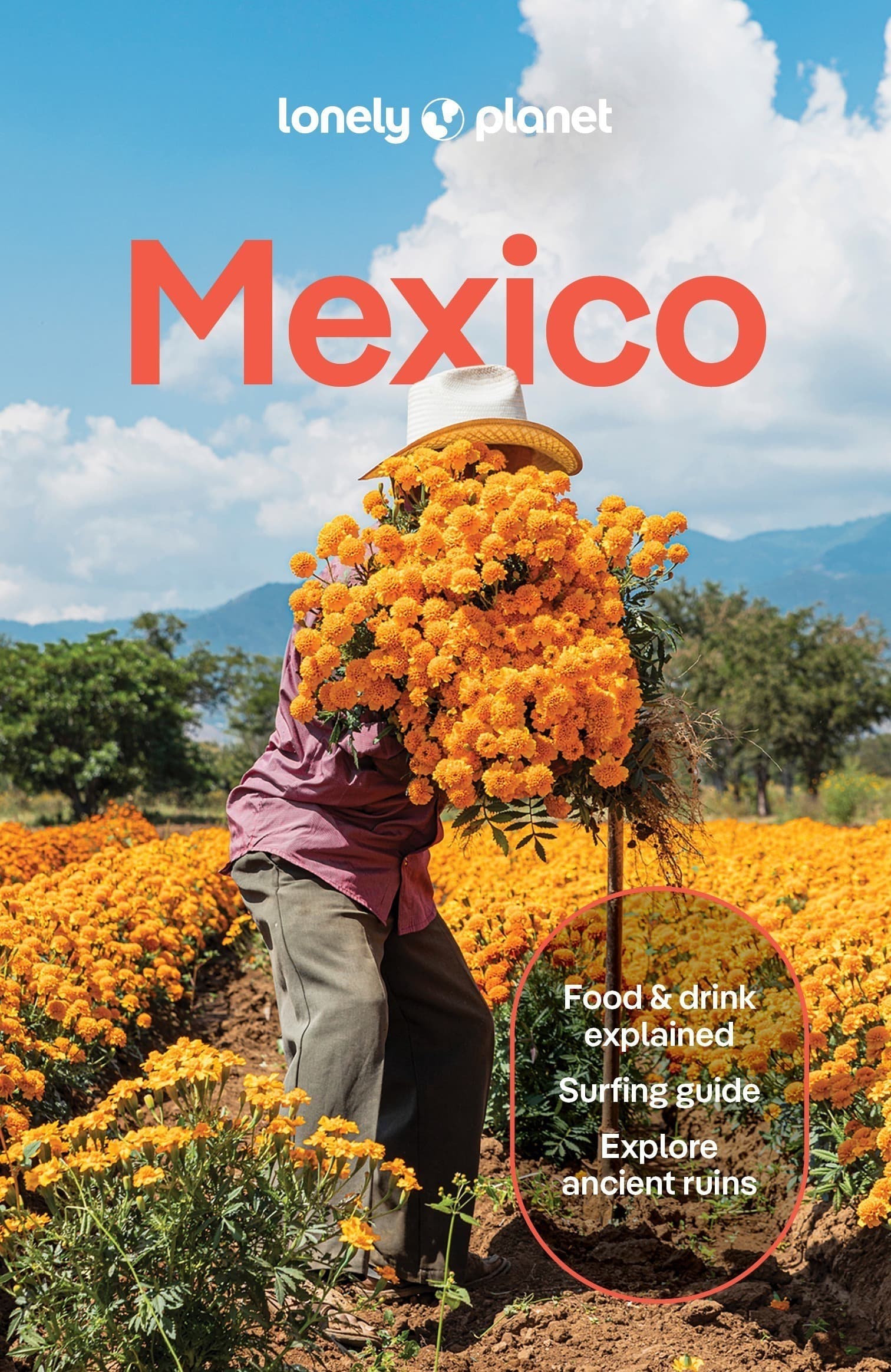 Mexico. Lonely planet