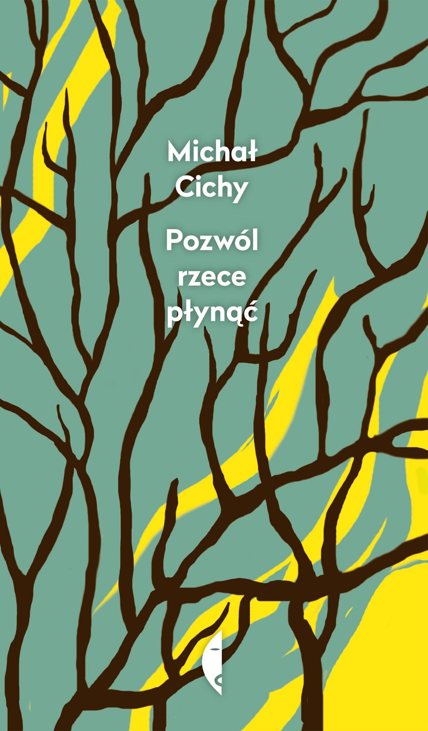 Dziennik Pisany Później Wyd. 2 - Czarne