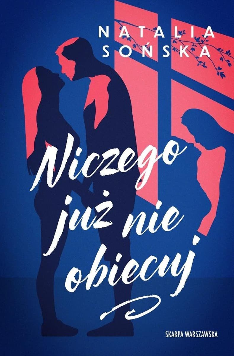 Niczego już nie obiecuj - Książka