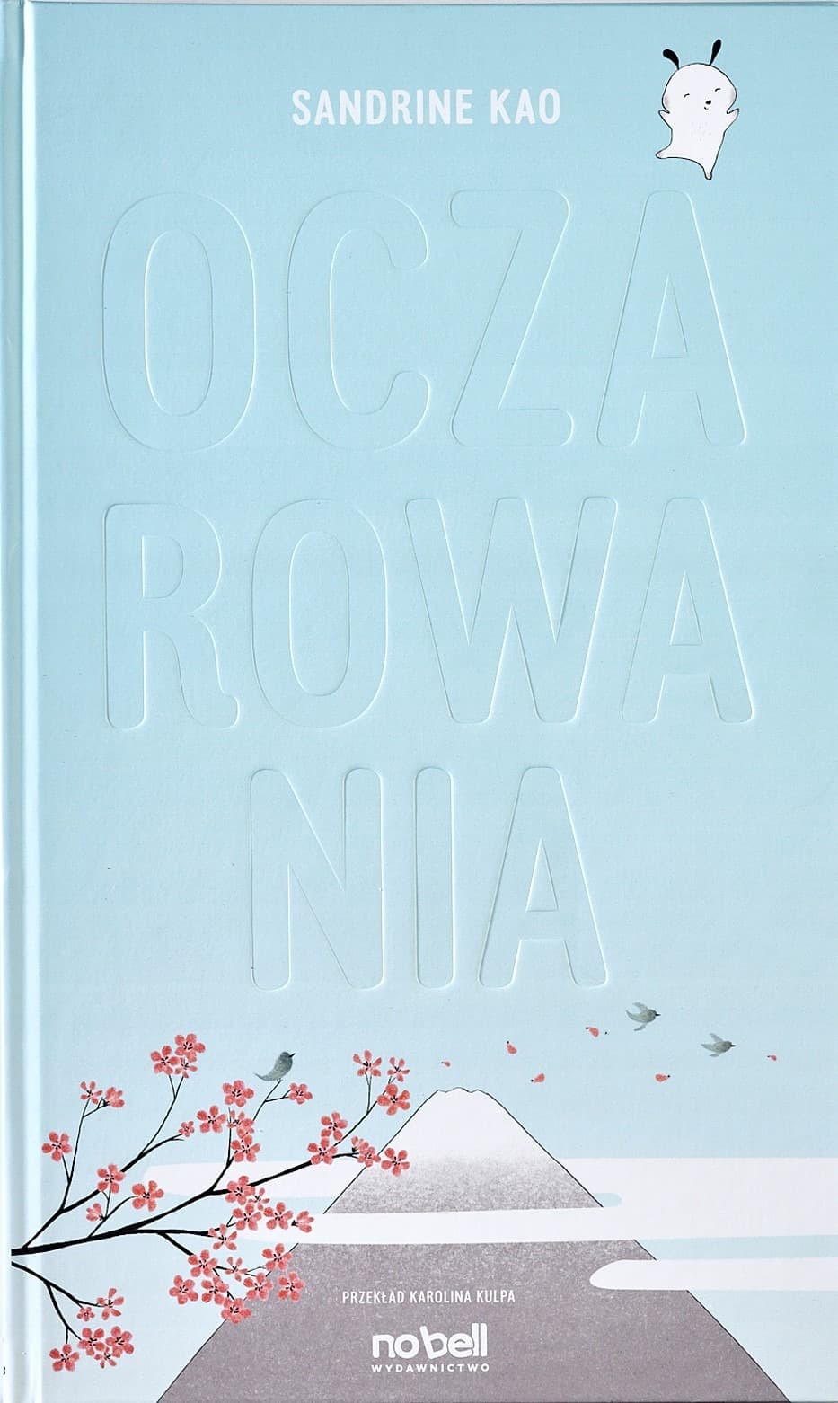 Oczarowania Sandrine Kao twarda oprawa - książka dla dzieci