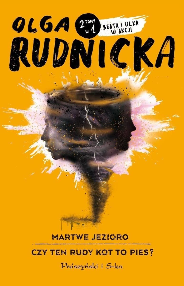 Olga Rudnicka: Martwe jezioro, powieść