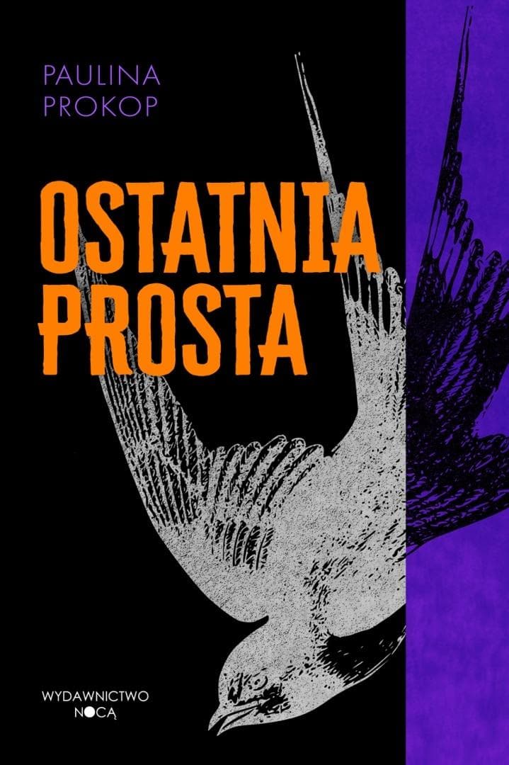 Ostatnia prosta - Paulina Prokop - książka romans 2026