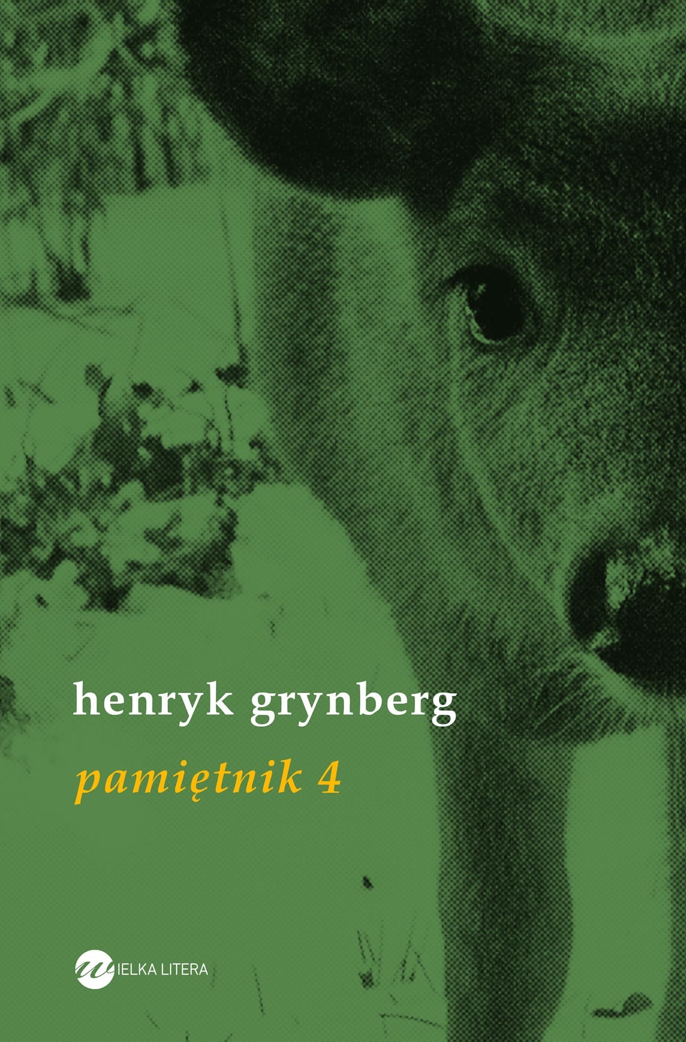 Pamiętnik refleksje nad współczesnością Henryka Grynberga