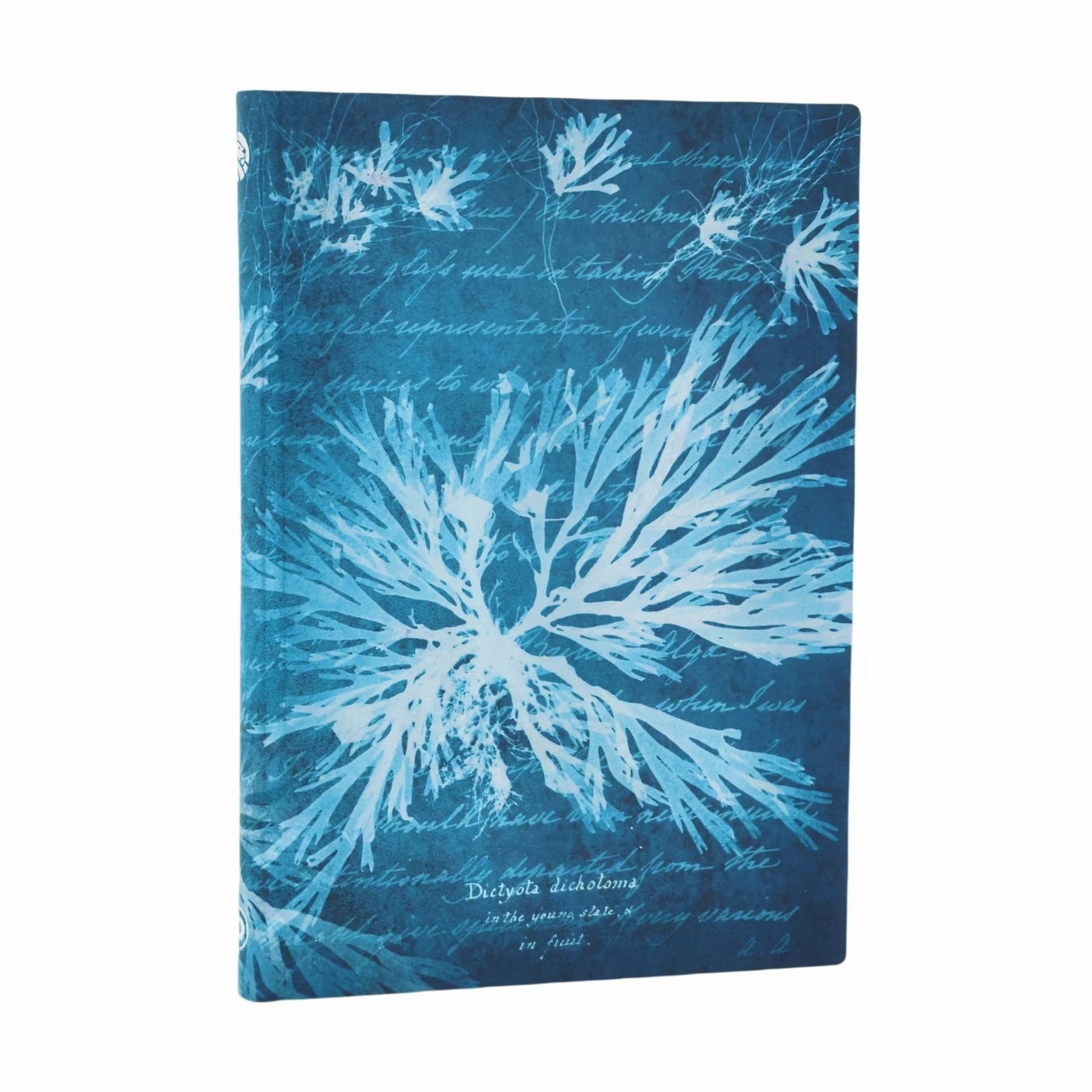 Paperblanks Sea Flowers Notatnik Midi, linia
