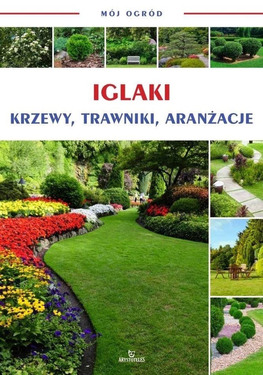 Poradnik dla dzieci Iglaki Krzewy Trawniki Aranżacje