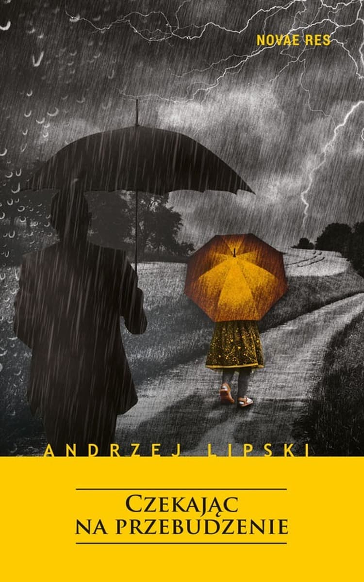 Powieść obyczajowa - Czekając na przebudzenie