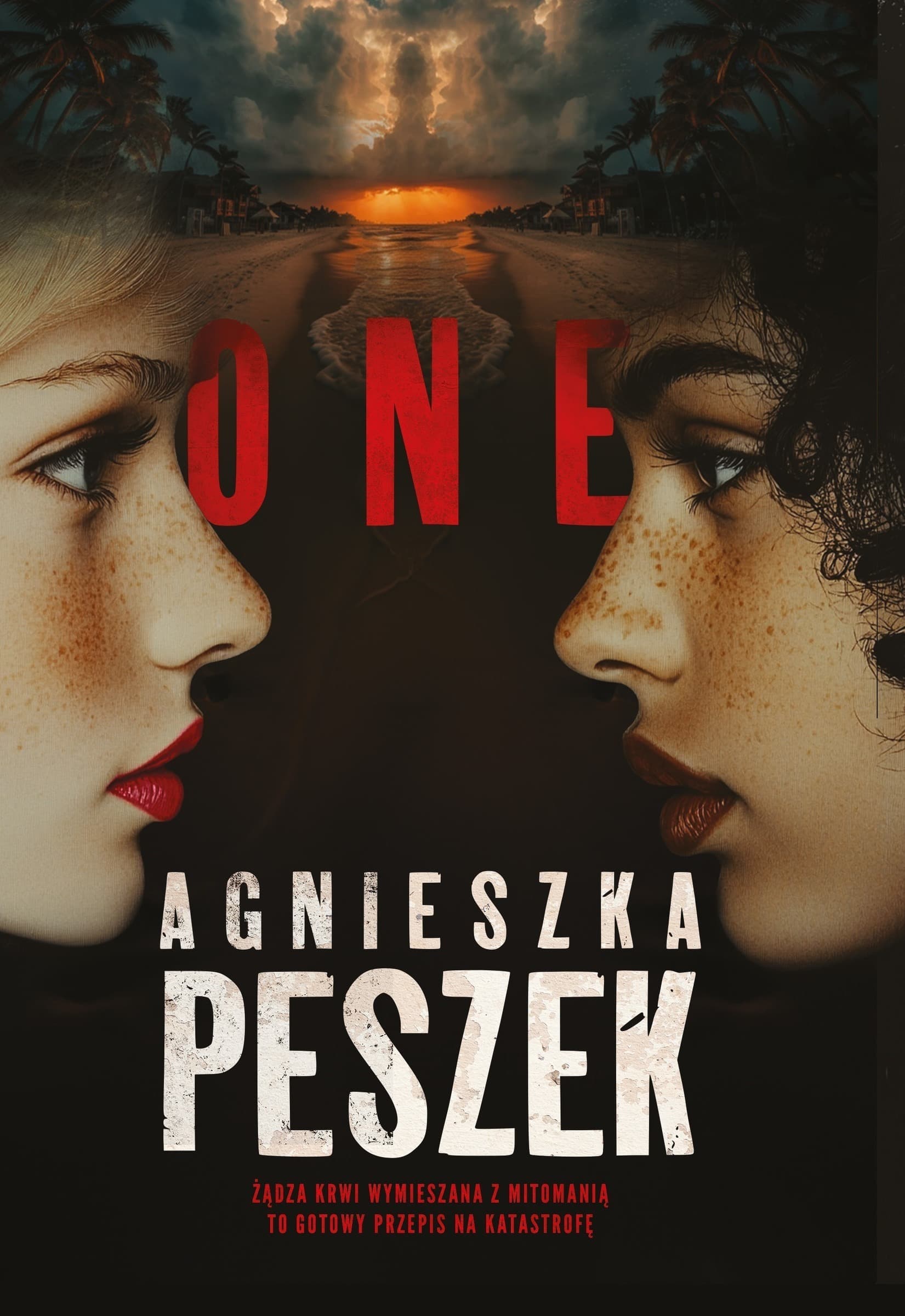Powieść One - historia dwóch kobiet