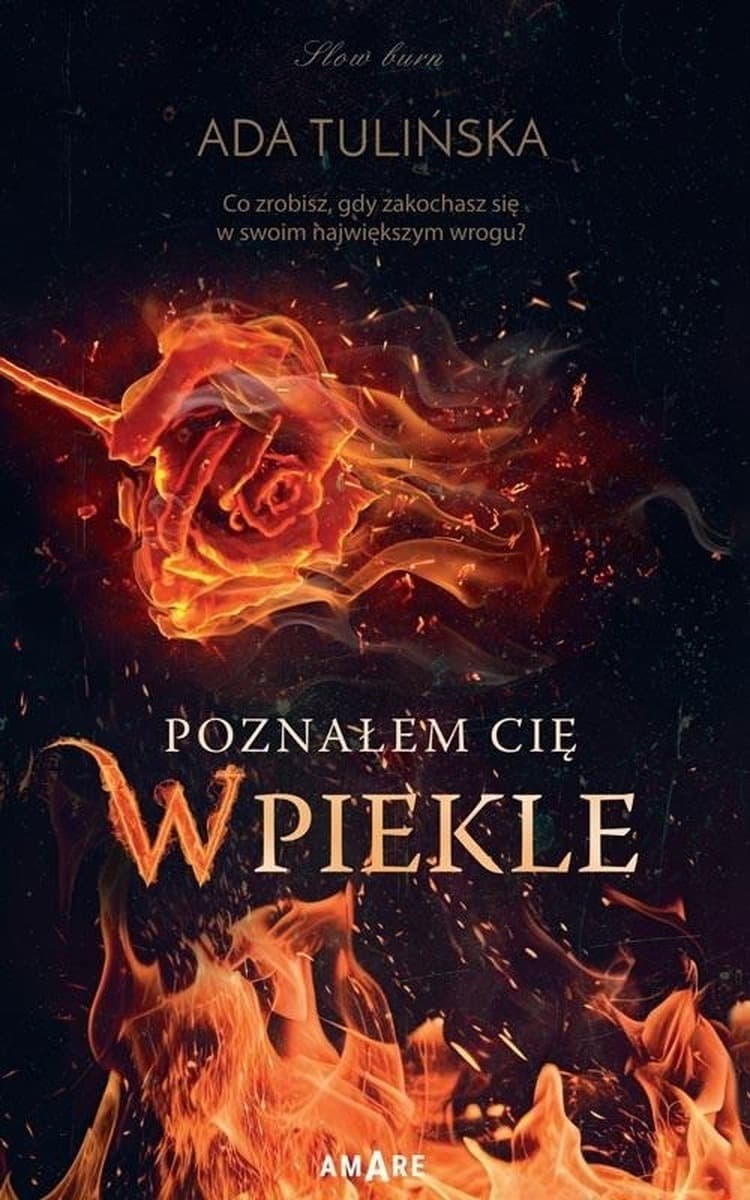 Poznałem Cię w piekle - powieść obyczajowa Novae Res 356 stron