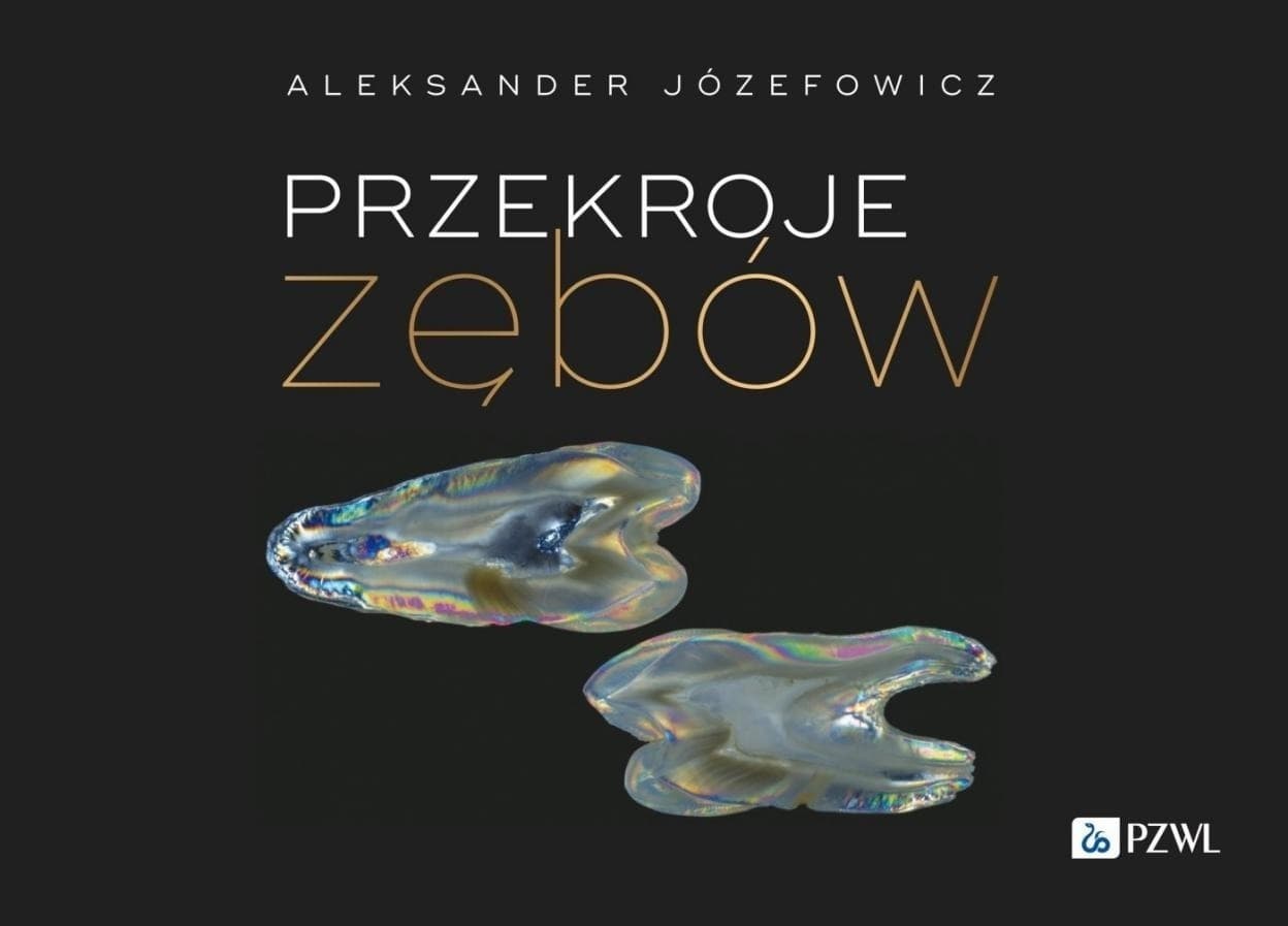 Przekroje zębów - album ze zdjęciami i teorią budowy zęba