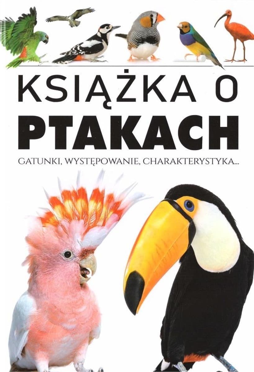 Ptaki. Kolorowanka dla dzieci