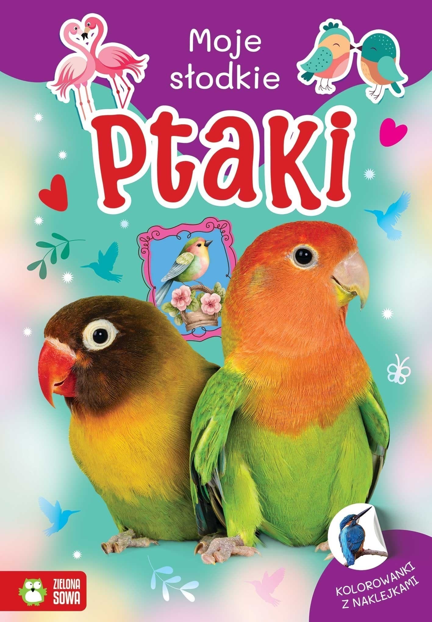 Ptaki. Książka dla dzieci