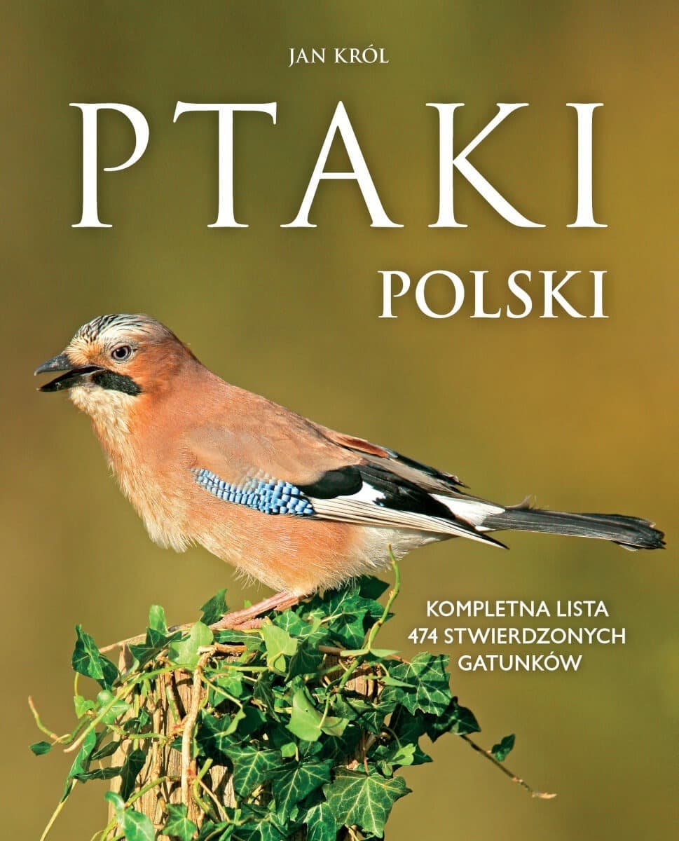 Ptaki Polski Kompletna Lista 474 Gatunków - Książka