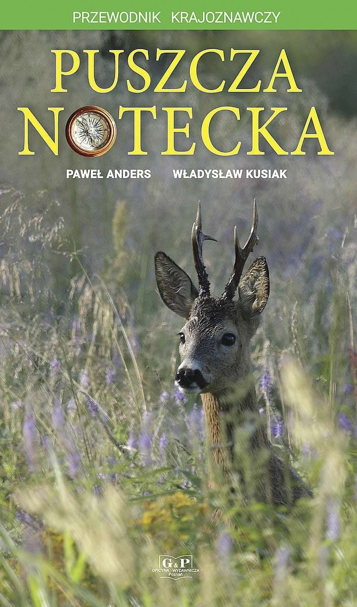 Puszcza Notecka przewodnik krajoznawczy - Paweł Anders, Władysław Kusiak