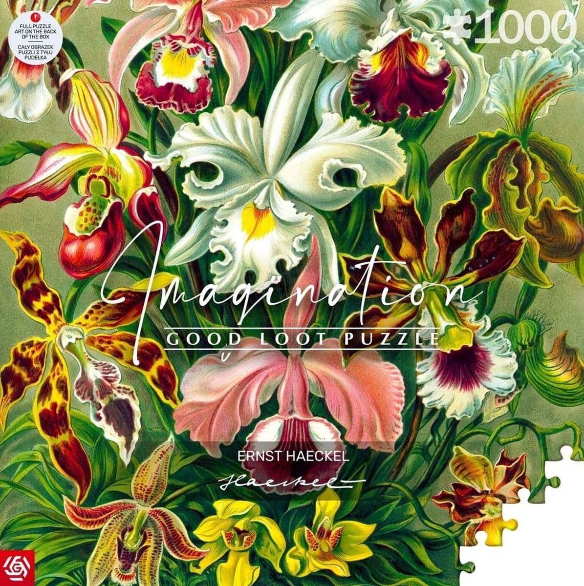 Puzzle 1000 elementów Ernst Haeckel Orchidea Orchid