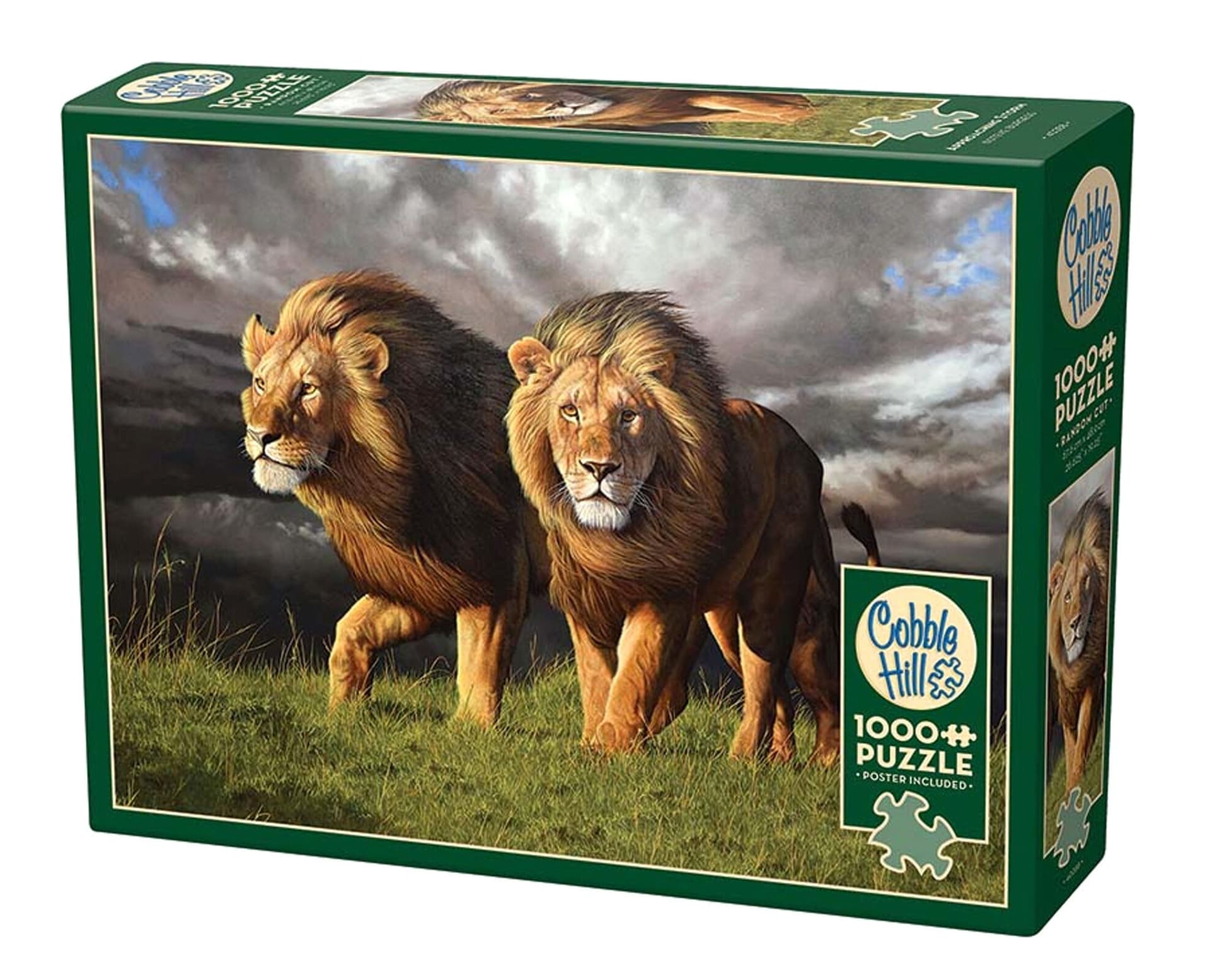 Puzzle 1000 Zbliża się burza 113058