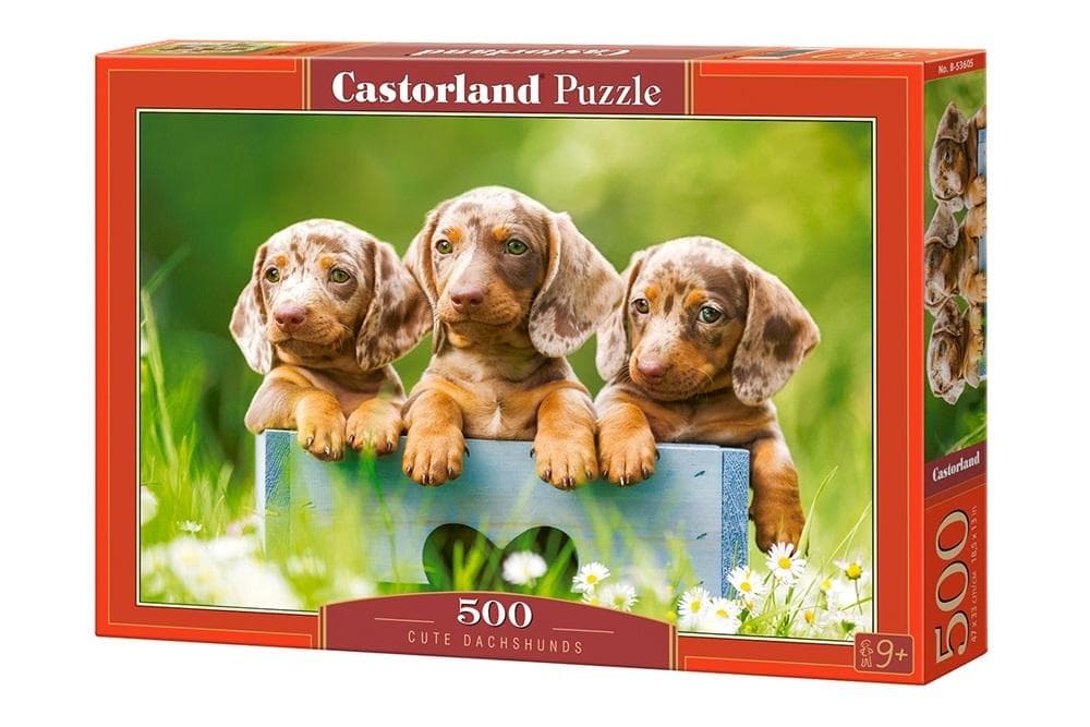 Puzzle Castorland 500 elementów - Urocze jamniki dla dorosłych
