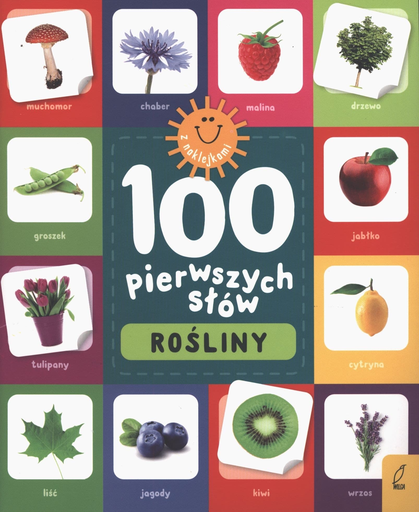 Rośliny. 100 Pierwszych Słów