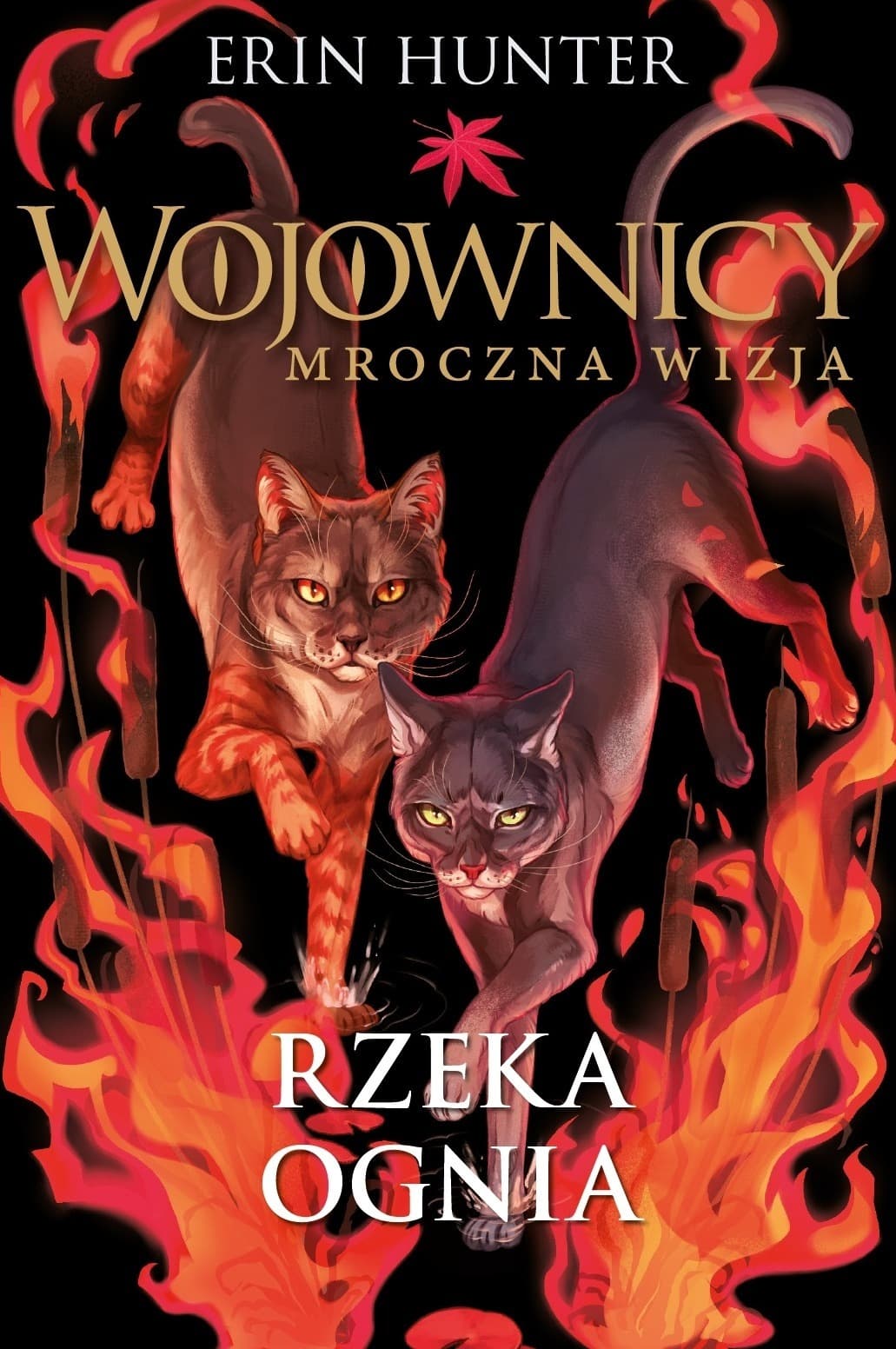 Rzeka ognia. Wojownicy. Mroczna wizja