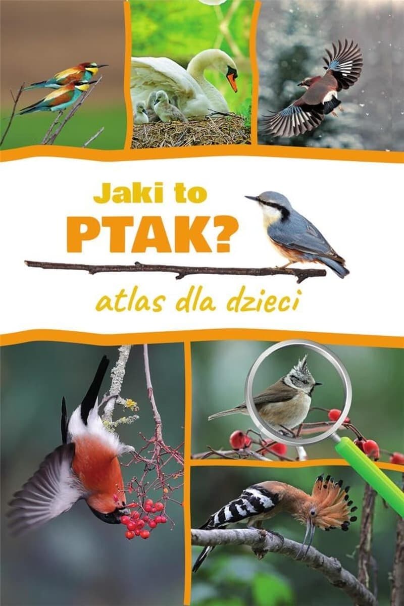 SBM Jaki to ptak? Atlas dla dzieci - rozpoznawanie ptaków Polski