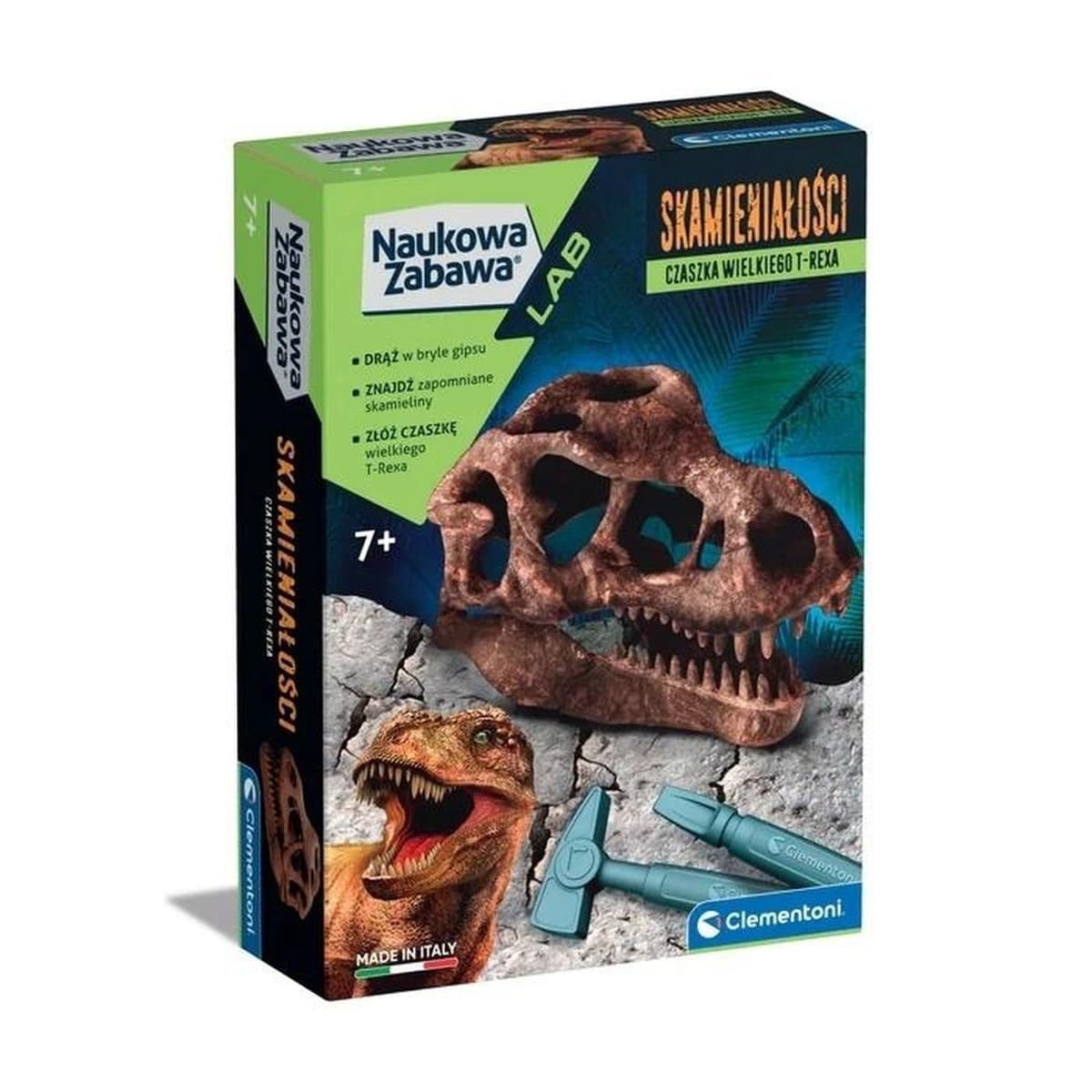 Skamieniałości Czaszka T-REXA 50790