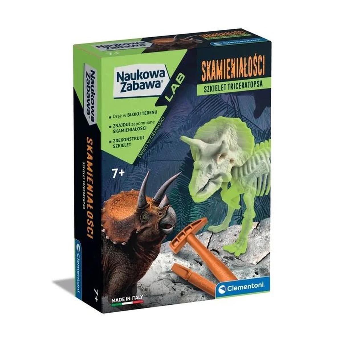 Skamieniałości Szkielet Triceratopsa 50860