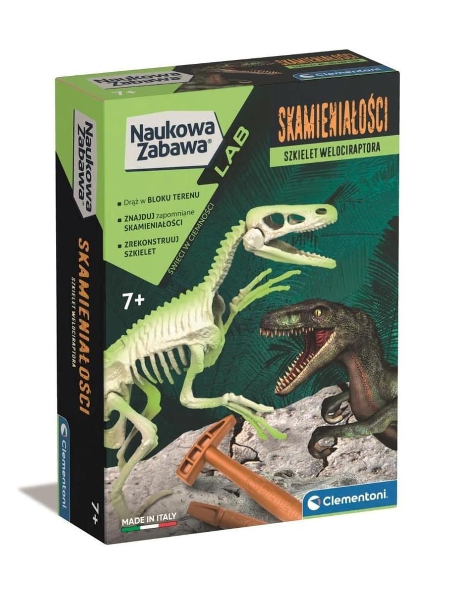 Skamieniałości Welociraptor fluorescencyjny 50639