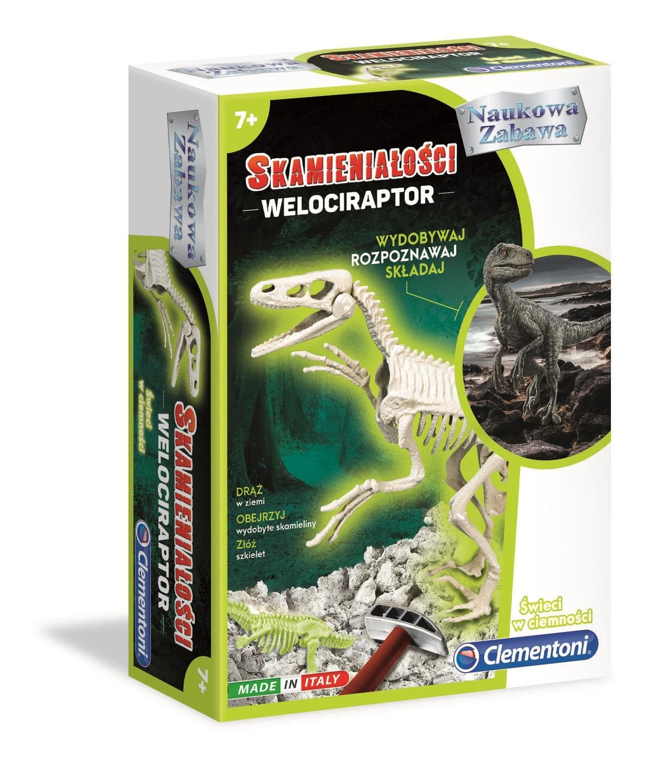 Skamieniałości Welociraptor fluorescencyjny 50639
