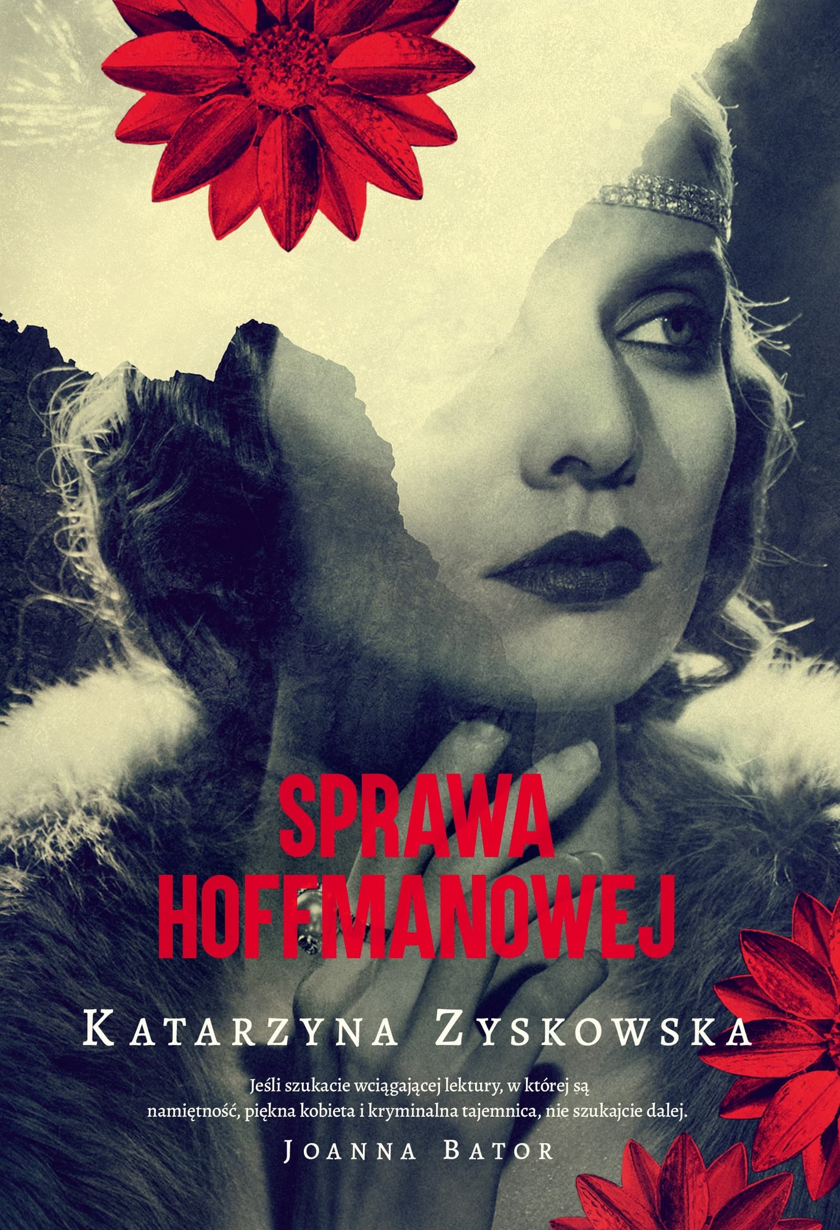 Sprawa Hoffmanowej wyd. 2025 - Książka