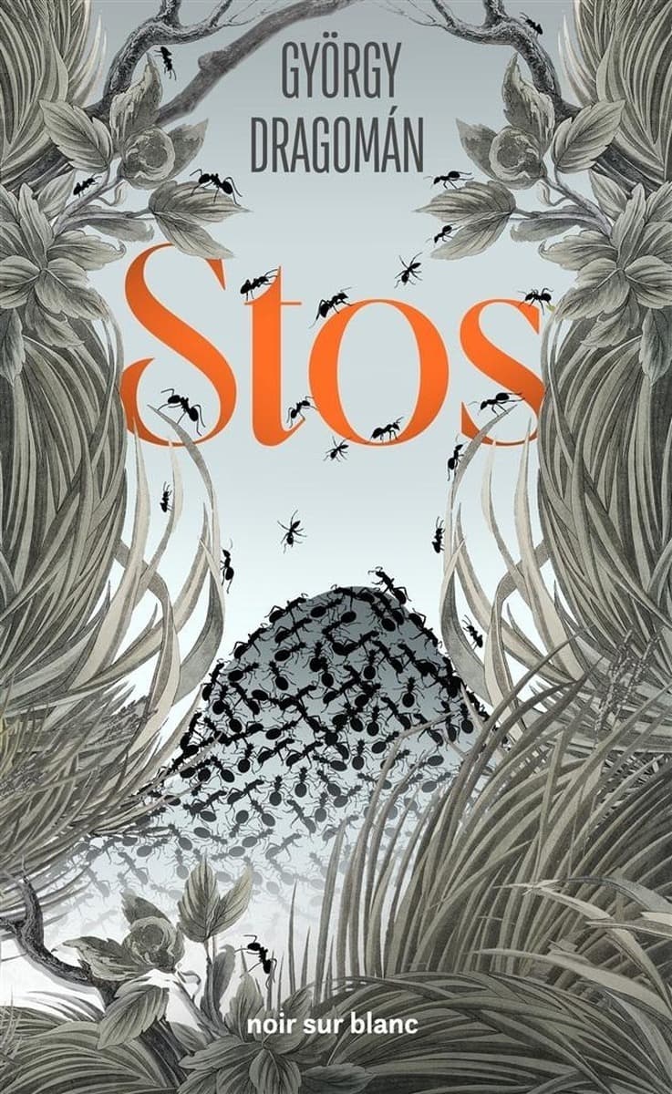 Stos - Gyrgy Dragoman, Karolina Kacorzyk, Witold Siemasz - powieść
