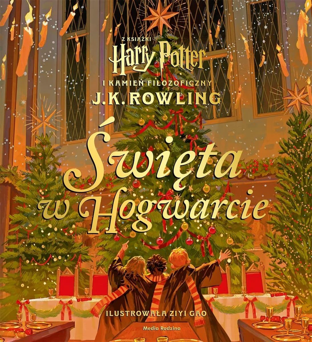 Święta w Hogwarcie. Harry Potter