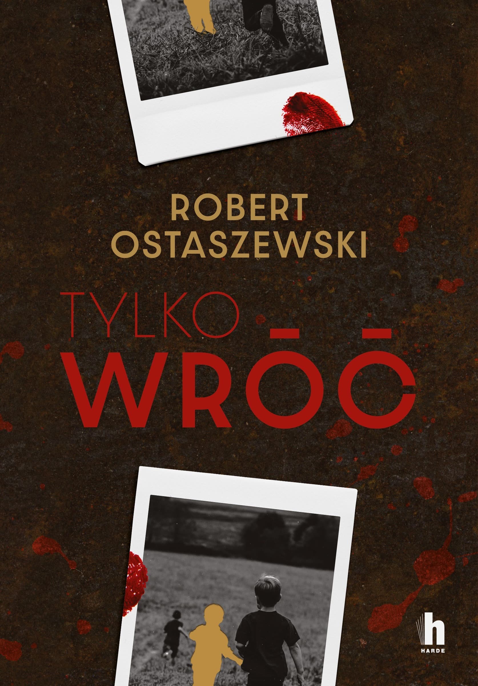 Tylko wróć - Książka