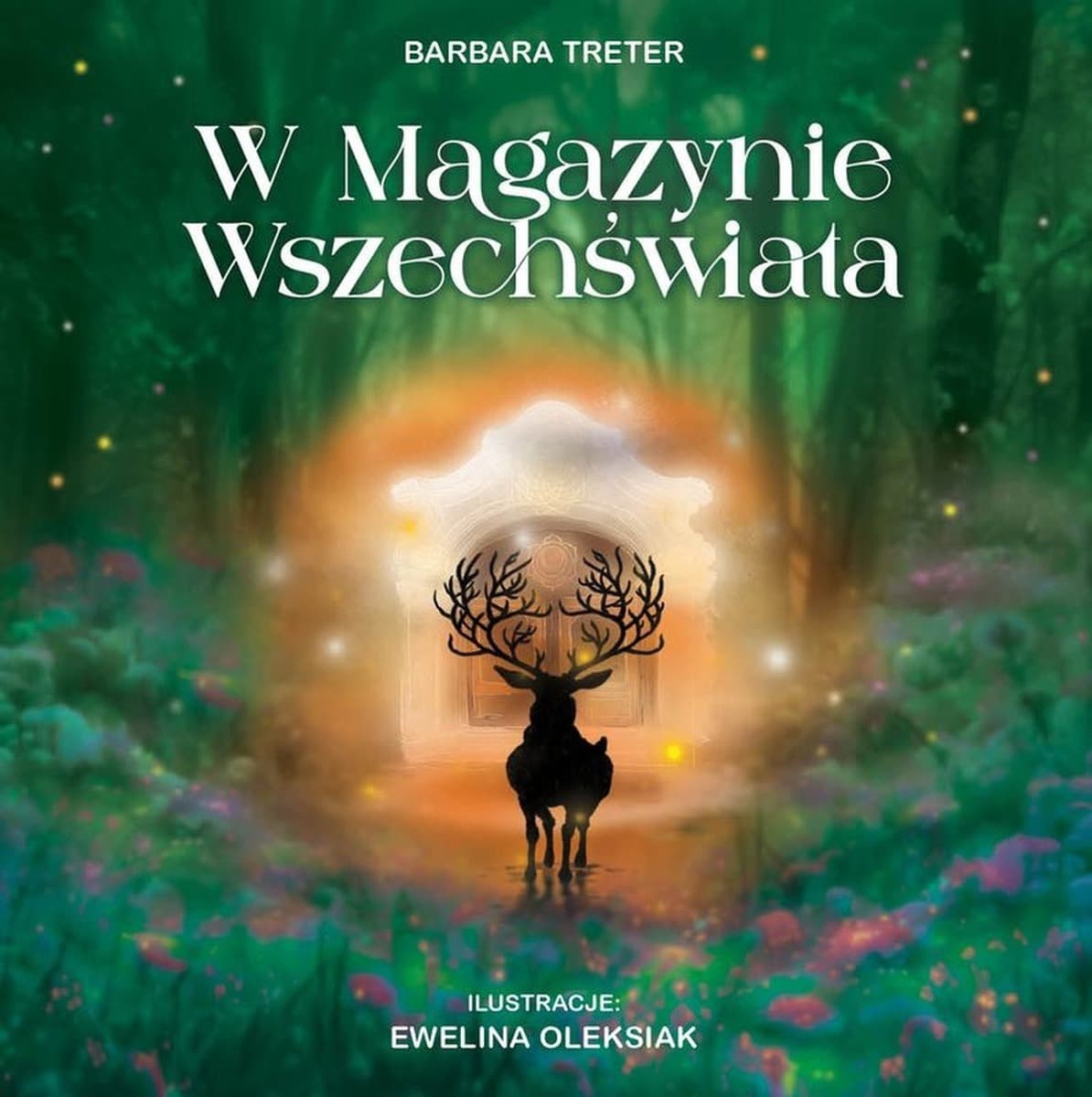 W Magazynie Wszechświata. Książka popularnonaukowa