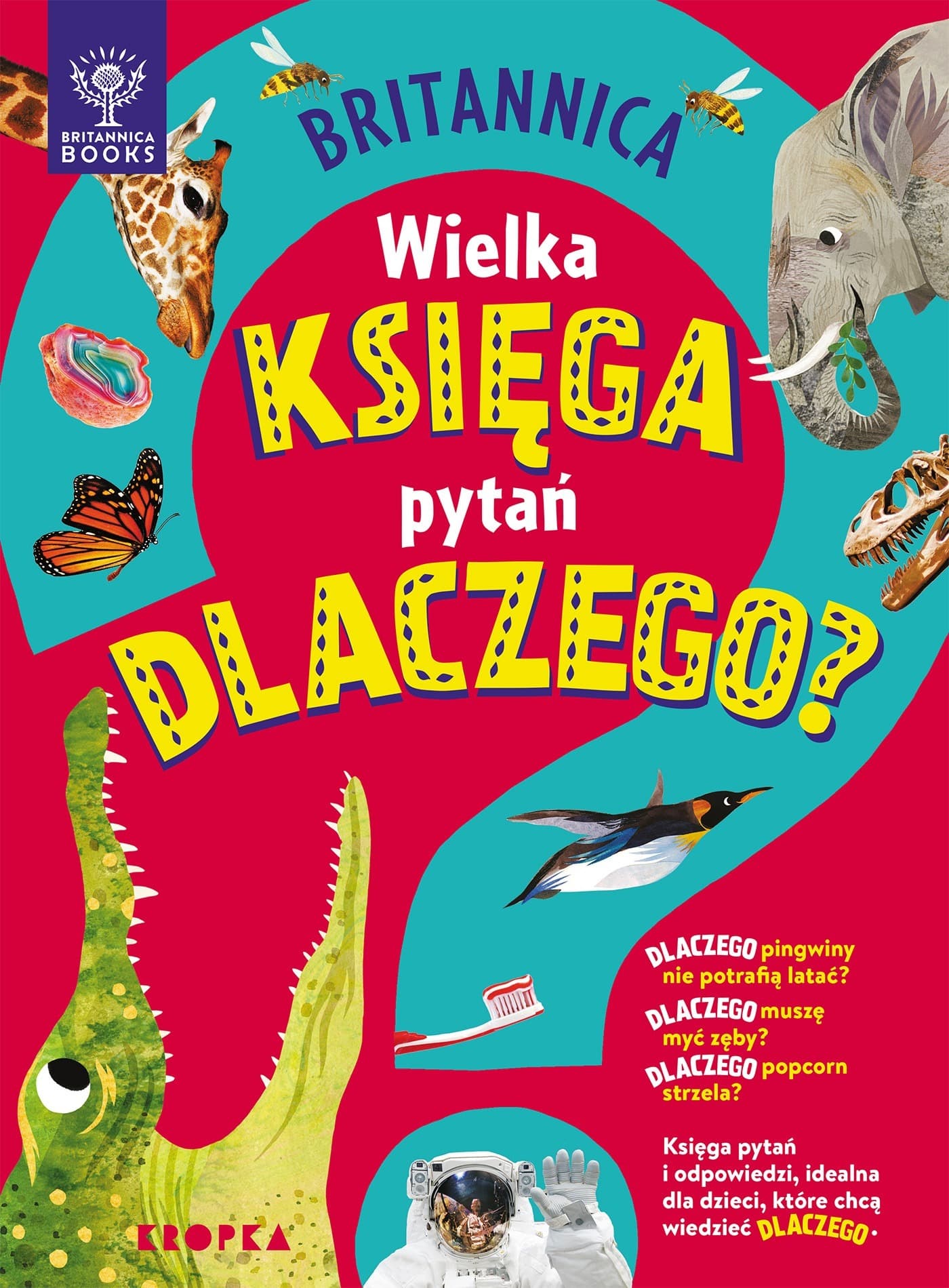 Wielka księga pytań dlaczego - książka
