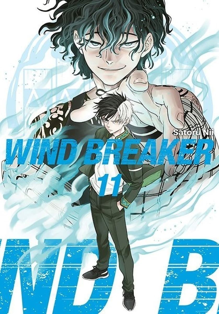 Wind Breaker. Tom 11