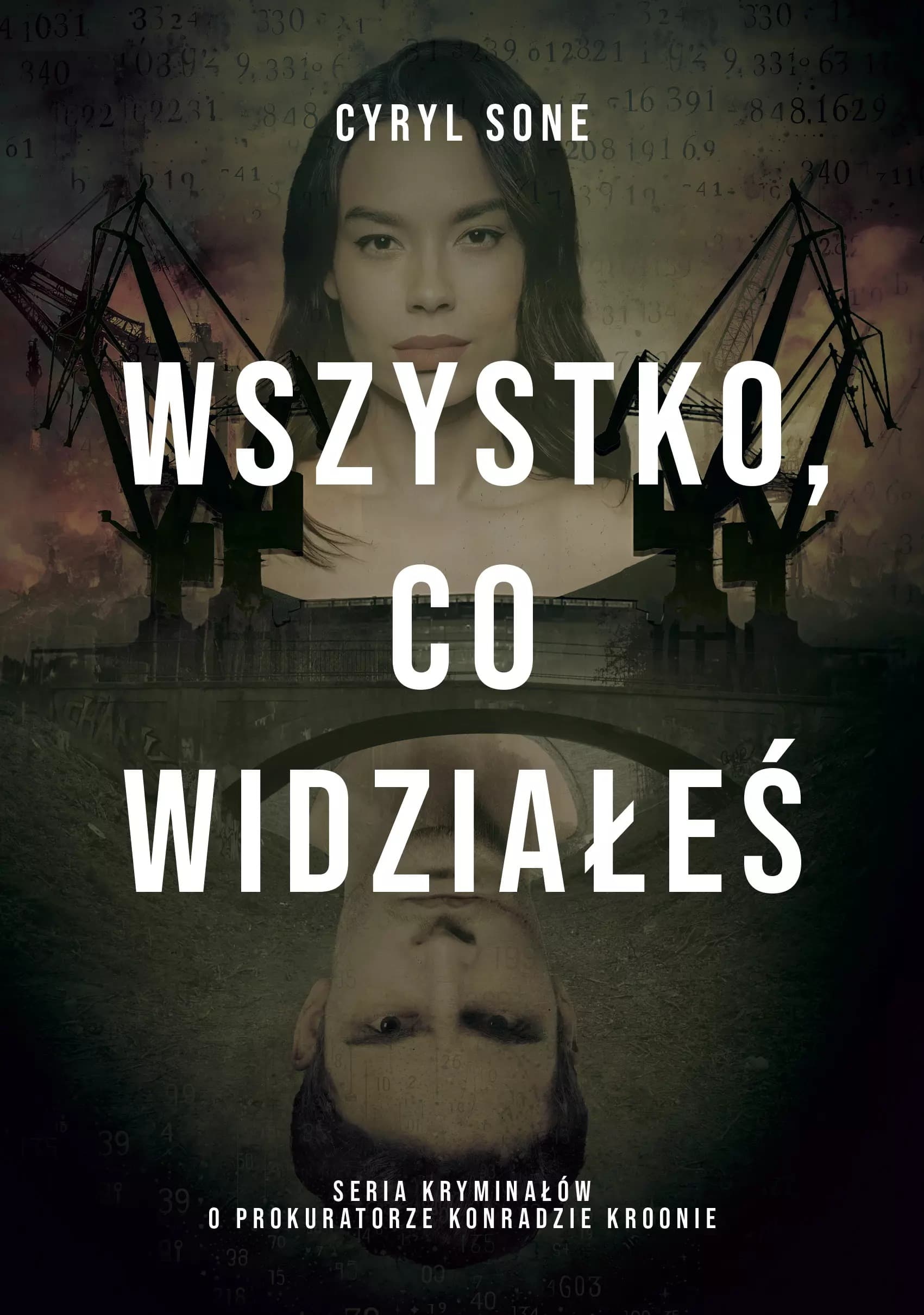 Wszystko, co widziałeś - kryminał Cyryla Sone