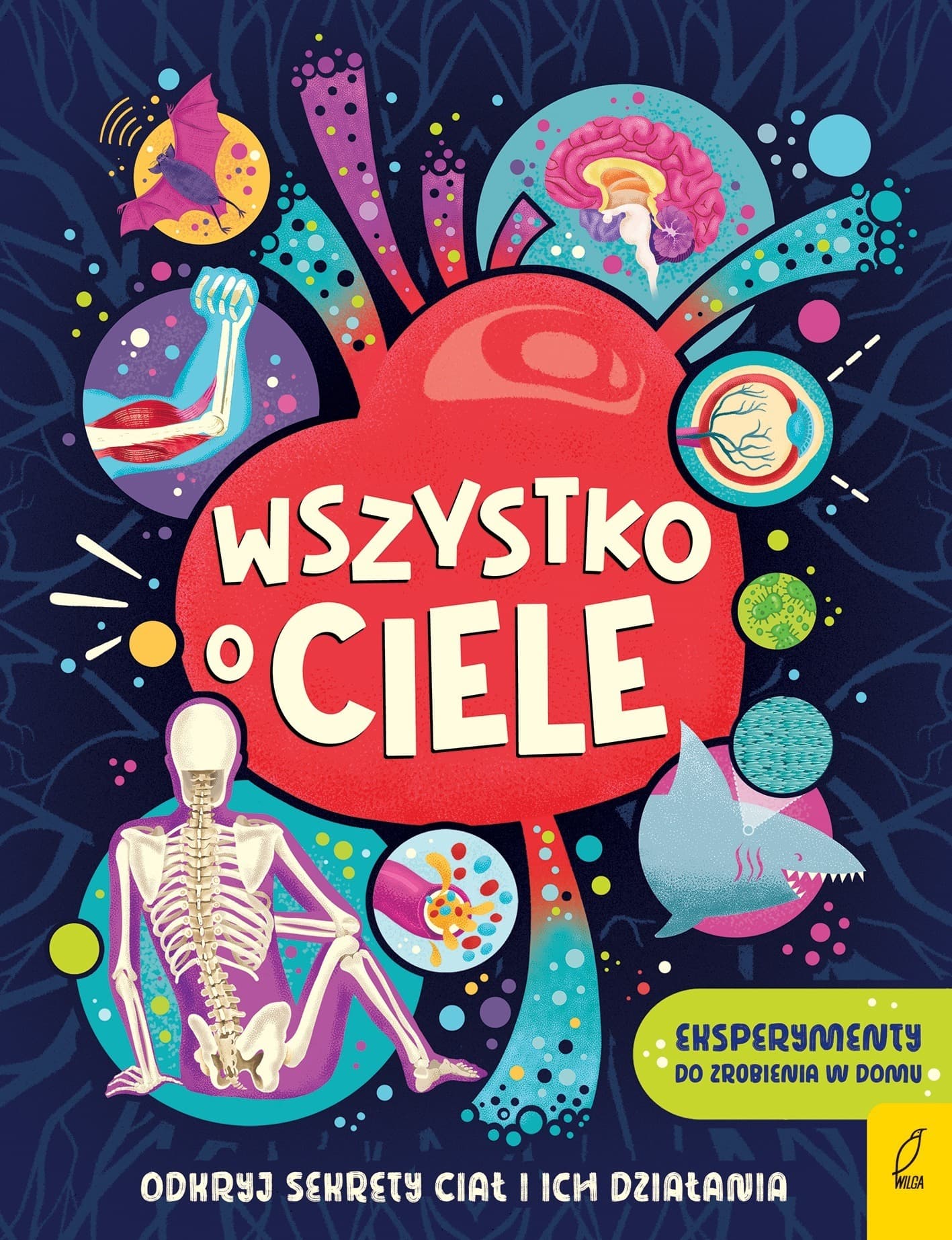 Wszystko o CIELE