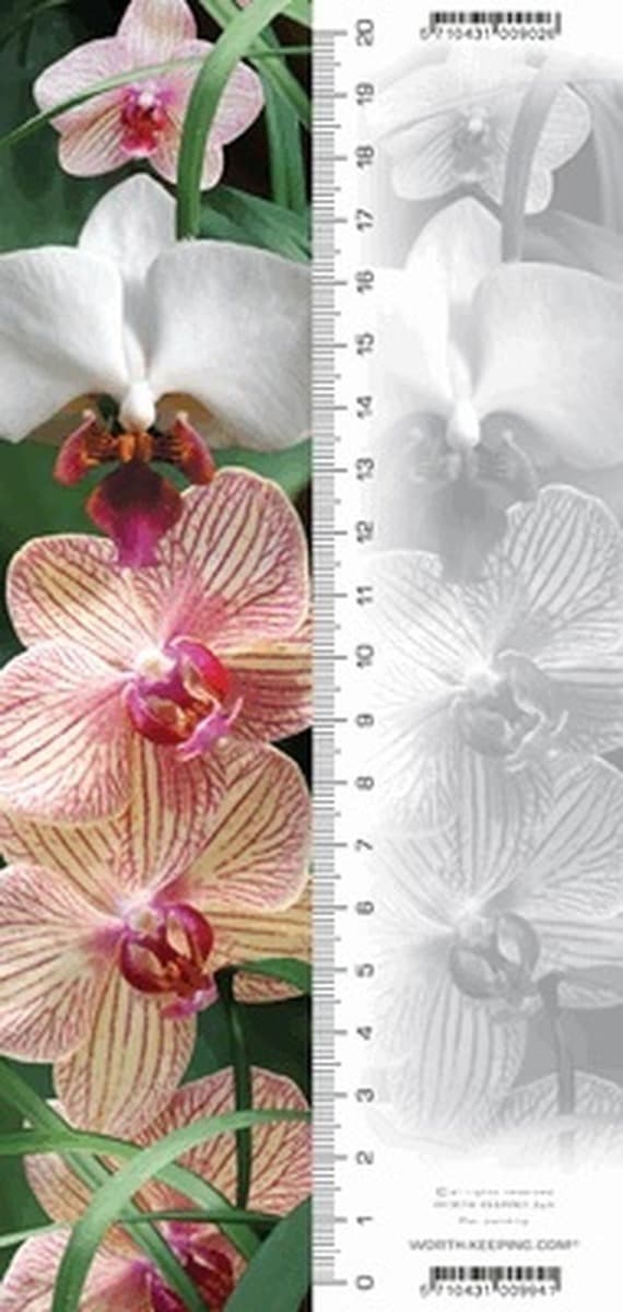 Zakładka 3D z motywem orchidei