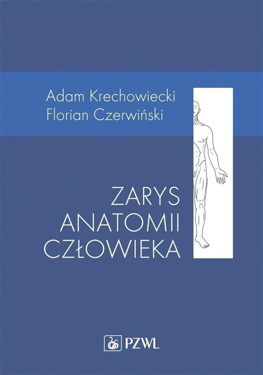Zarys anatomii człowieka - kompendium wiedzy medycznej