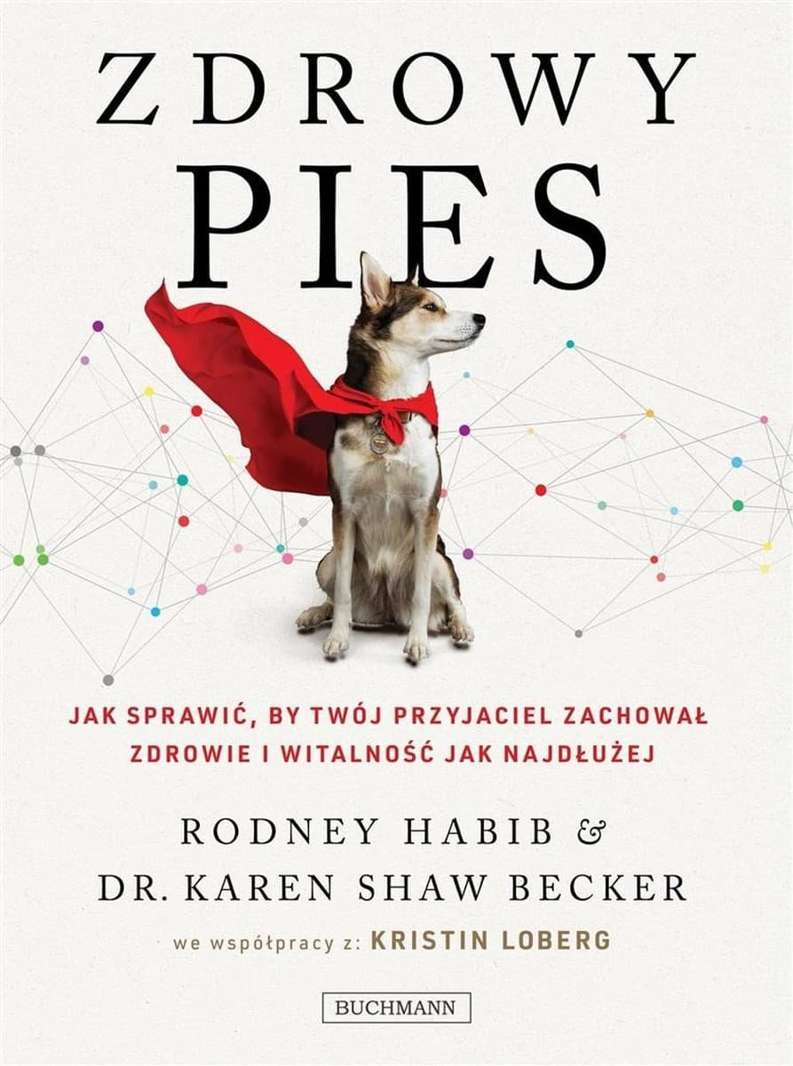 Zdrowy pies poradnik jak dbać o witalność i młodość