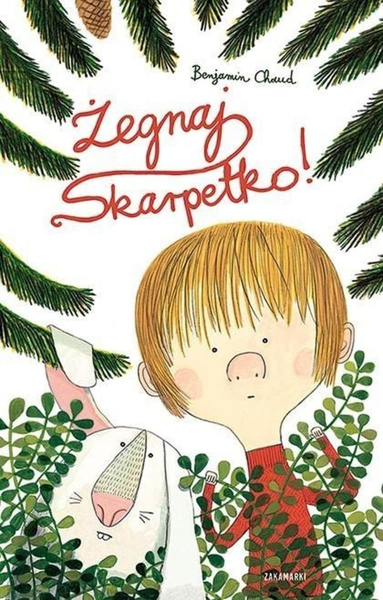 Żegnaj skarpetko! Benjamin Chaud - książka dla dzieci o porzuceniu i przyjaźni