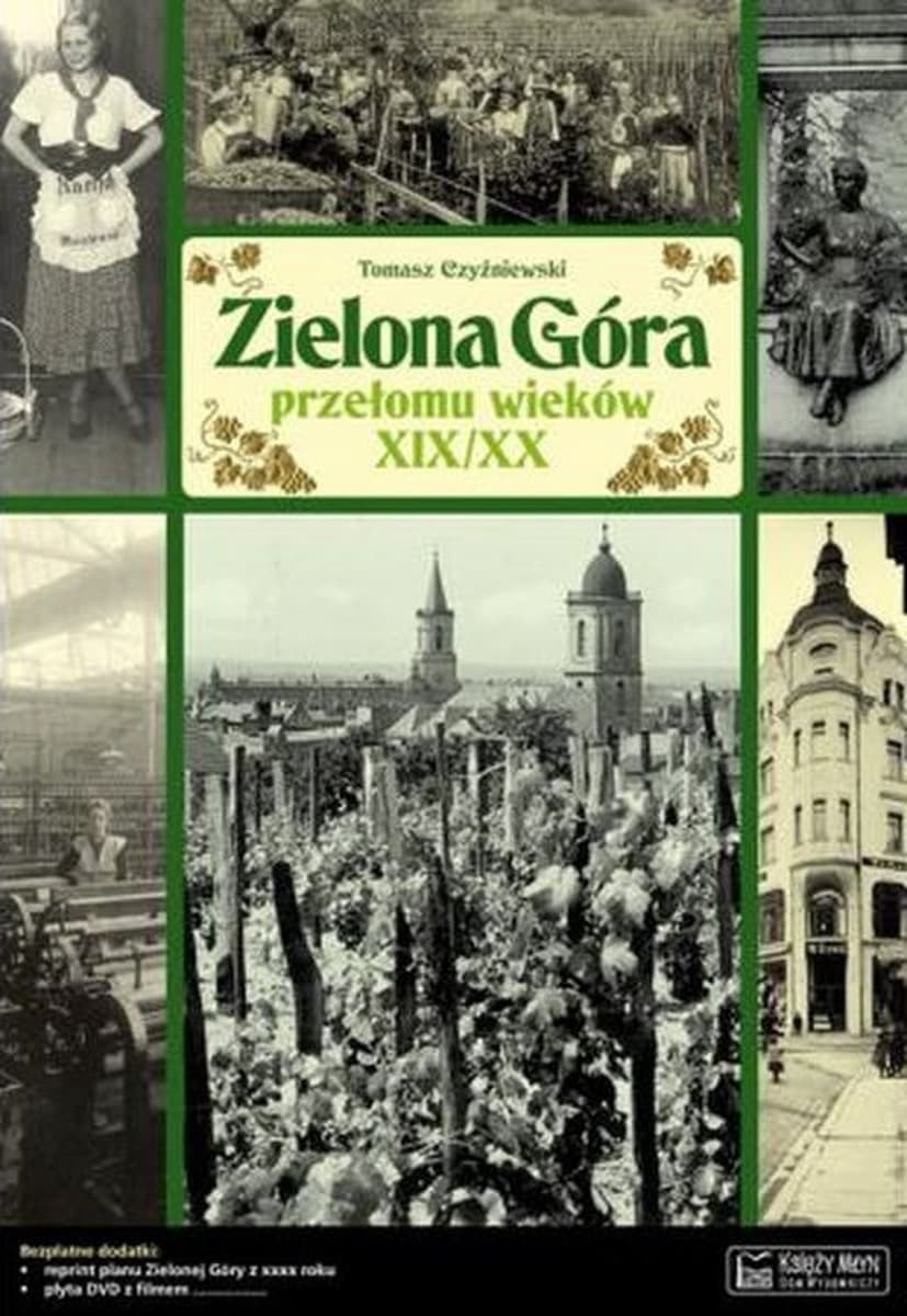 Zielona Góra w XIX i XX wieku - historia miasta w książce