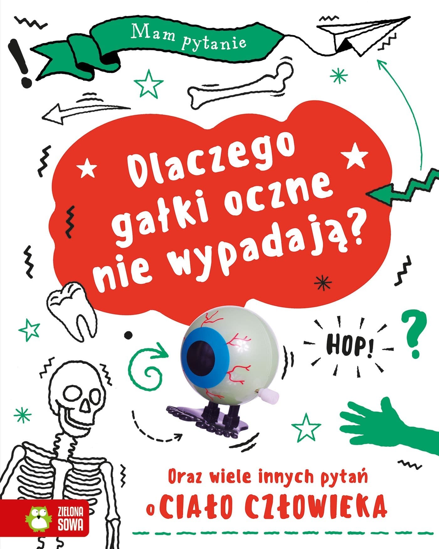 Zielona Sowa Dlaczego Gałki Oczne Nie Wypadają? - Ciekawostki o Ludzkim Ciele