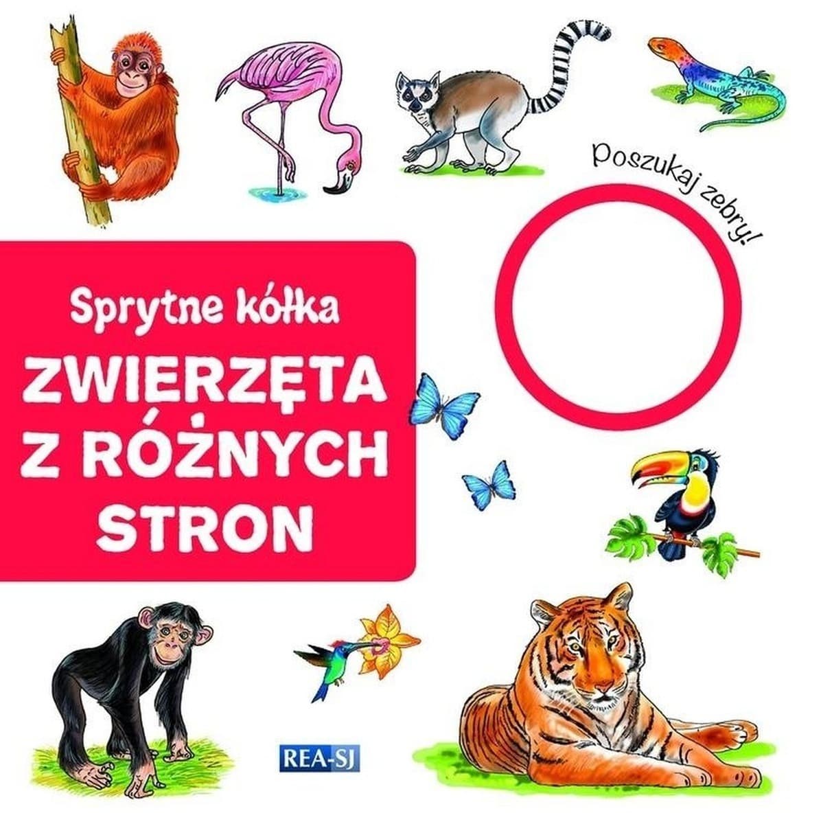 Zwierzęta z różnych stron Sprytne kółka - Książka dla dzieci