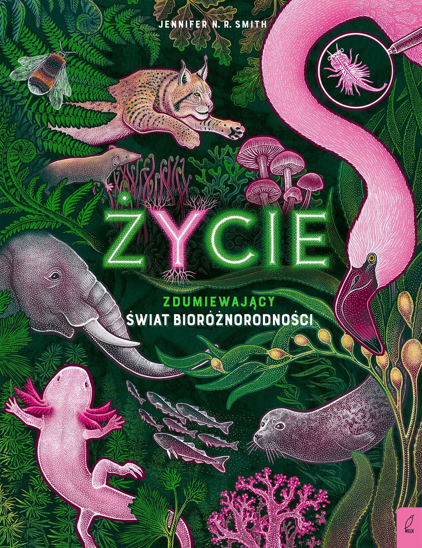 Życie. Zdumiewający świat bioróżnorodności