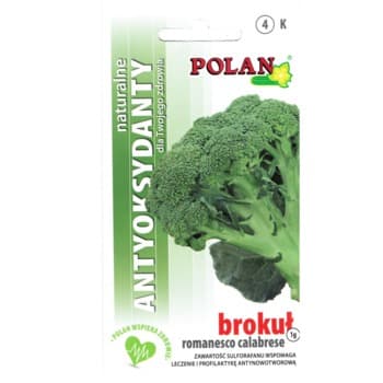 Brokuł