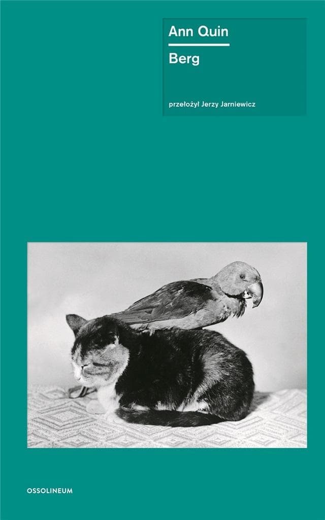 Berg - powieść Ann Quin o morderstwie i obsesji