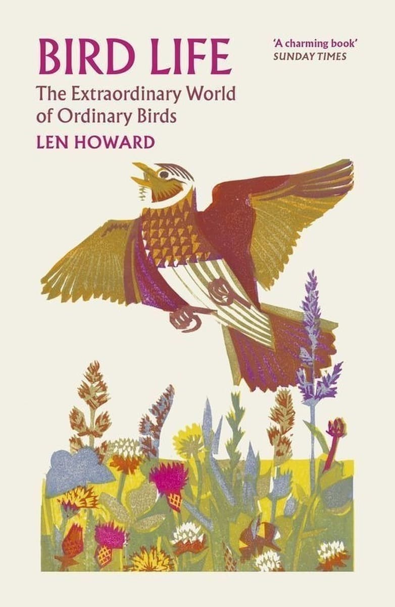 Bird Life