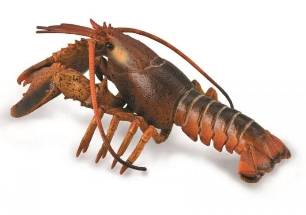 Figurka homara Collecta edukacyjna