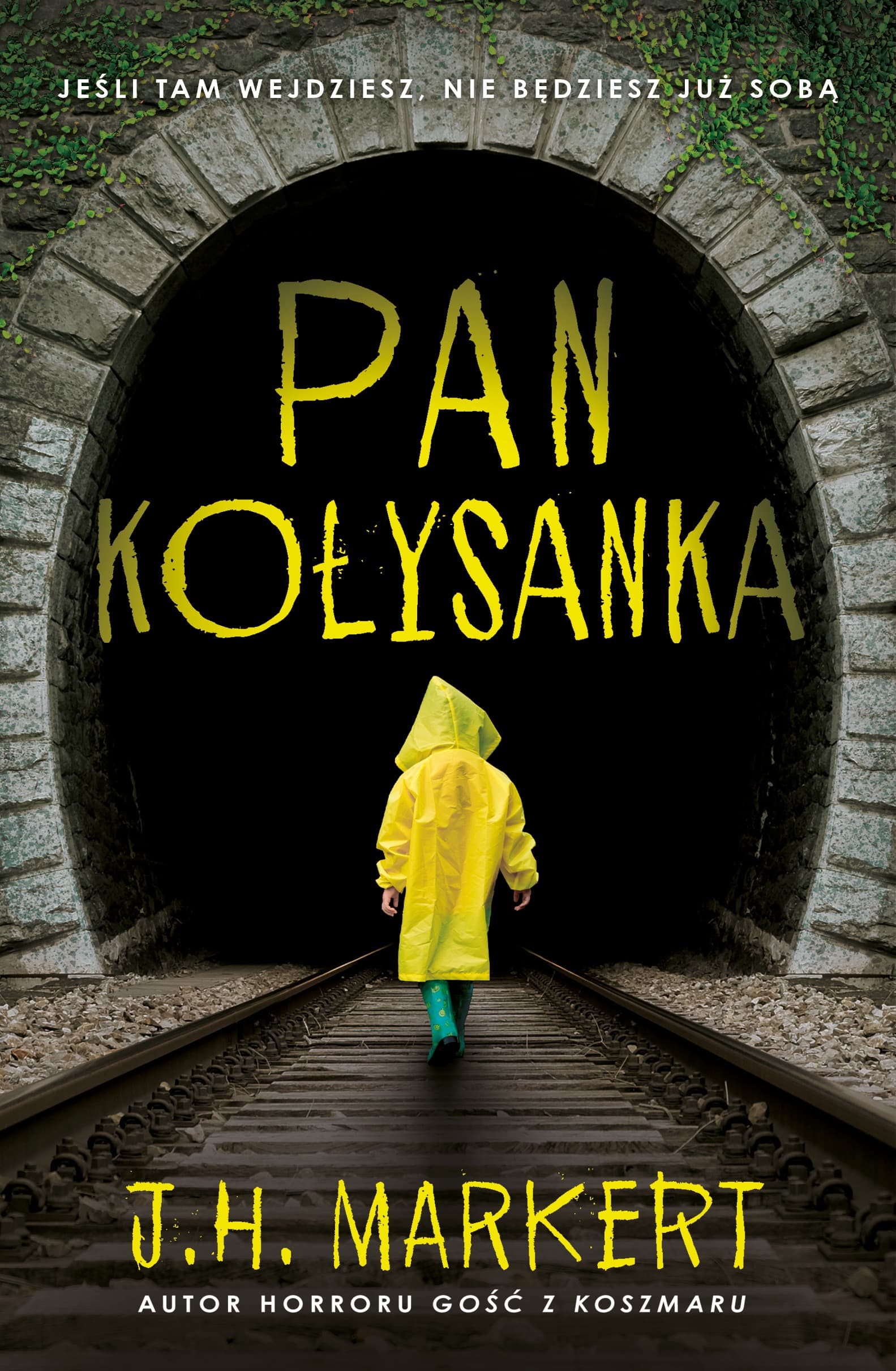 Pan Kołysanka - Książka