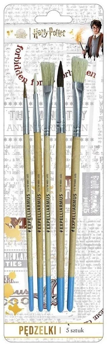 Zestaw pędzli Harry Potter naturalne włosie 5 sztuk
